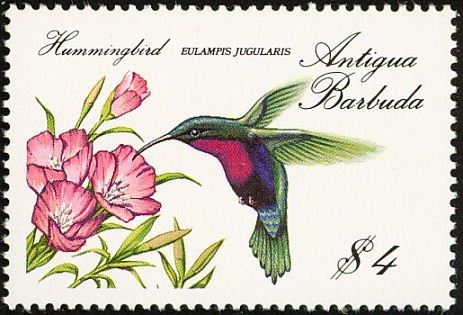 Paul Gascoigne Sheet