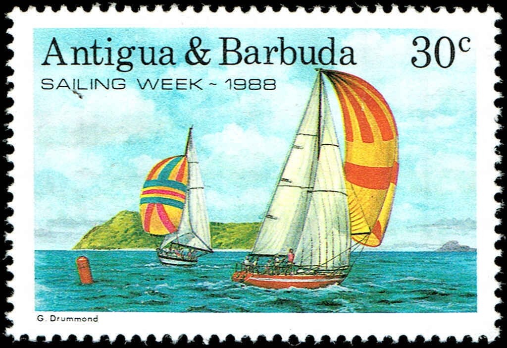 Phalaenopsis Zuma Urchin