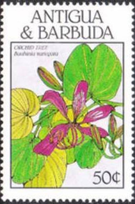 Patti Lupone ("Evita")