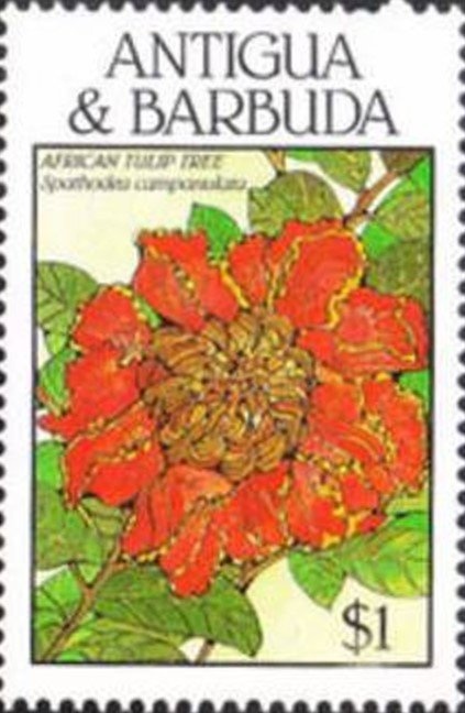 John Glenn Entering "Mercury" Capsule, 1962