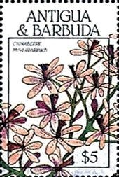 In Motorcade, Mexico City