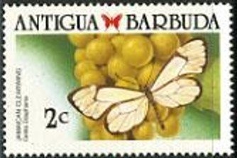 Type Groupe surcharge