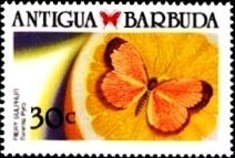 "Adoration of the Magi" (Guillaume da Marcillat)