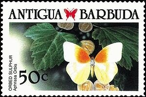 Public Library - Overprinted