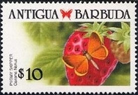 Type Alphee Dubois overprinted and surcharged