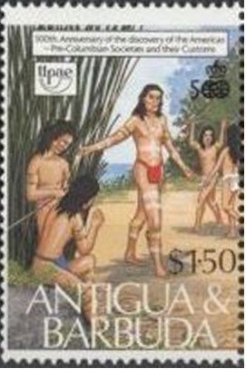 Greater Flamingo (Phoenicopterus roseus)