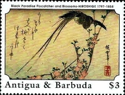 Grapefruit (Citris paradisi)