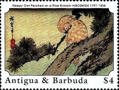 Cantharellus cibarius