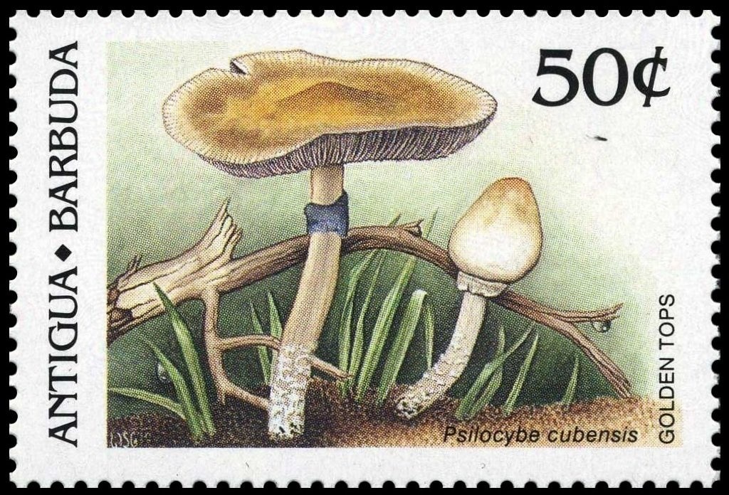 St. John's Harbour - Surcharged