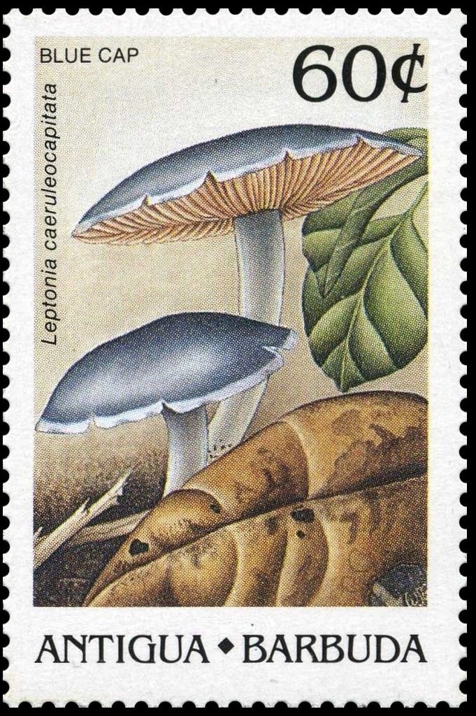 Command Module in Lunar Orbit