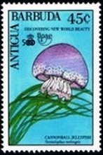 October - Eeyore in Fallen Leaves