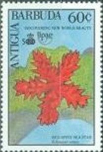 Old World Swallowtail (Papilio machaon)