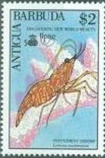 "An Allegory of the Church" (Allesandro Allori)