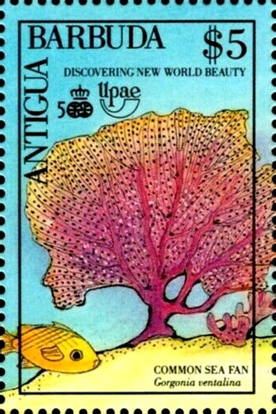 Minnie and Daisy Celebrating Bun Festival