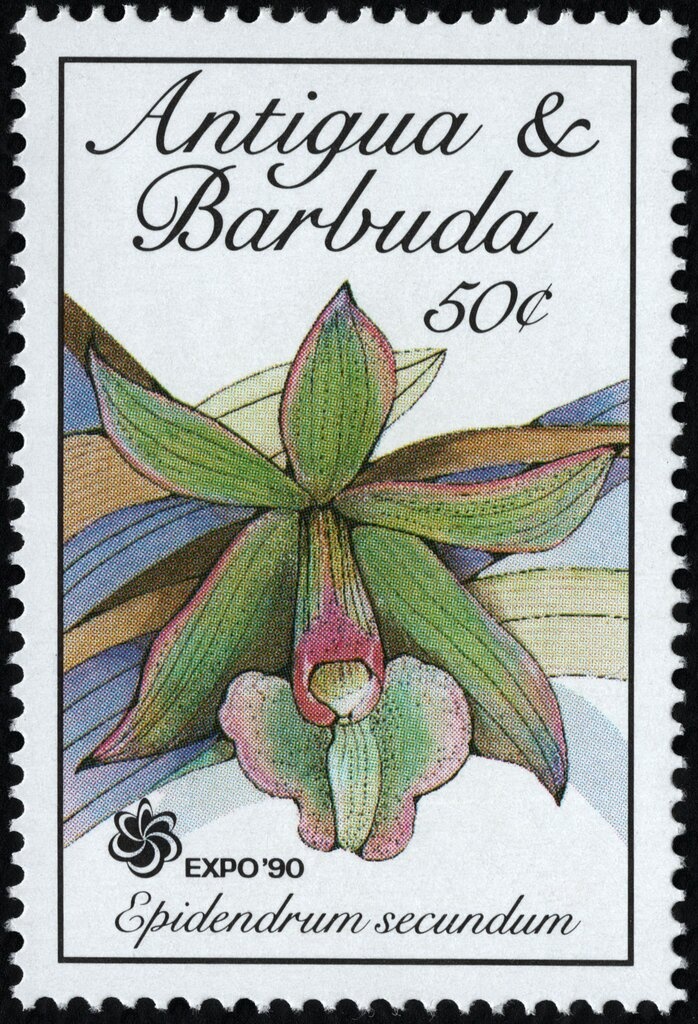 Mickey Armed for Kung-Fu