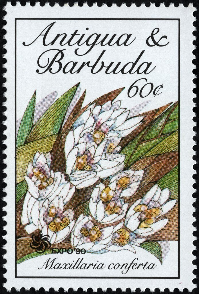 Giving Directions to Tourists