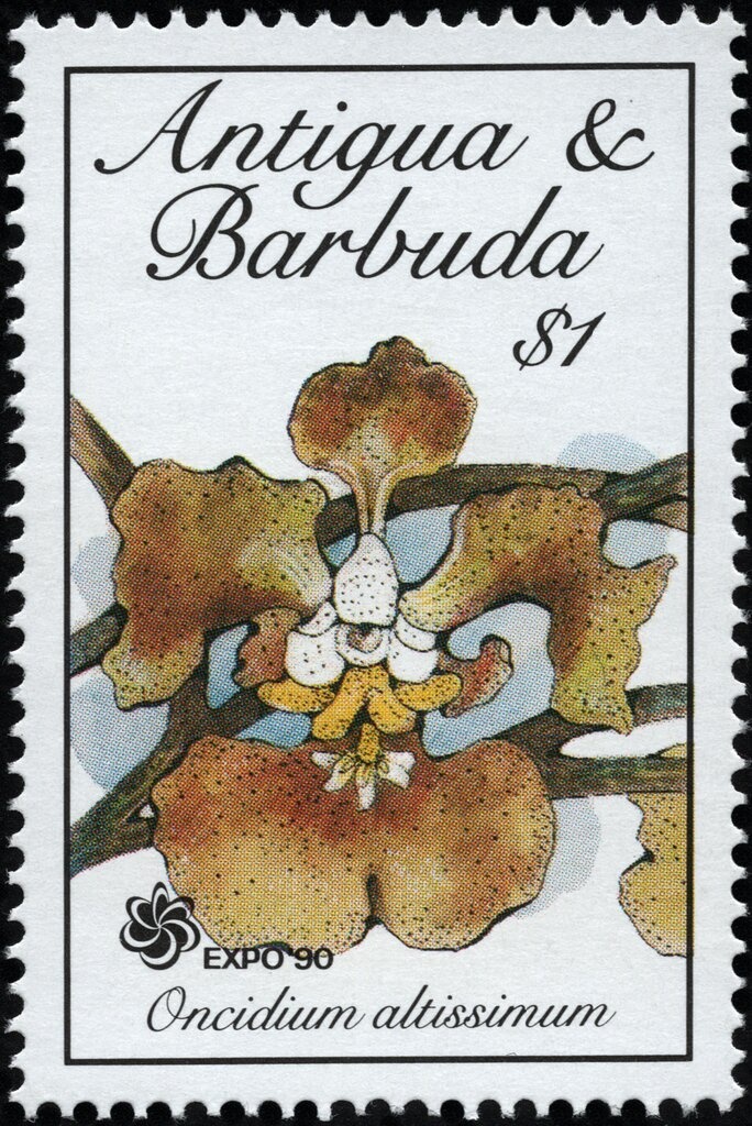 Potworks Dam - Overprinted