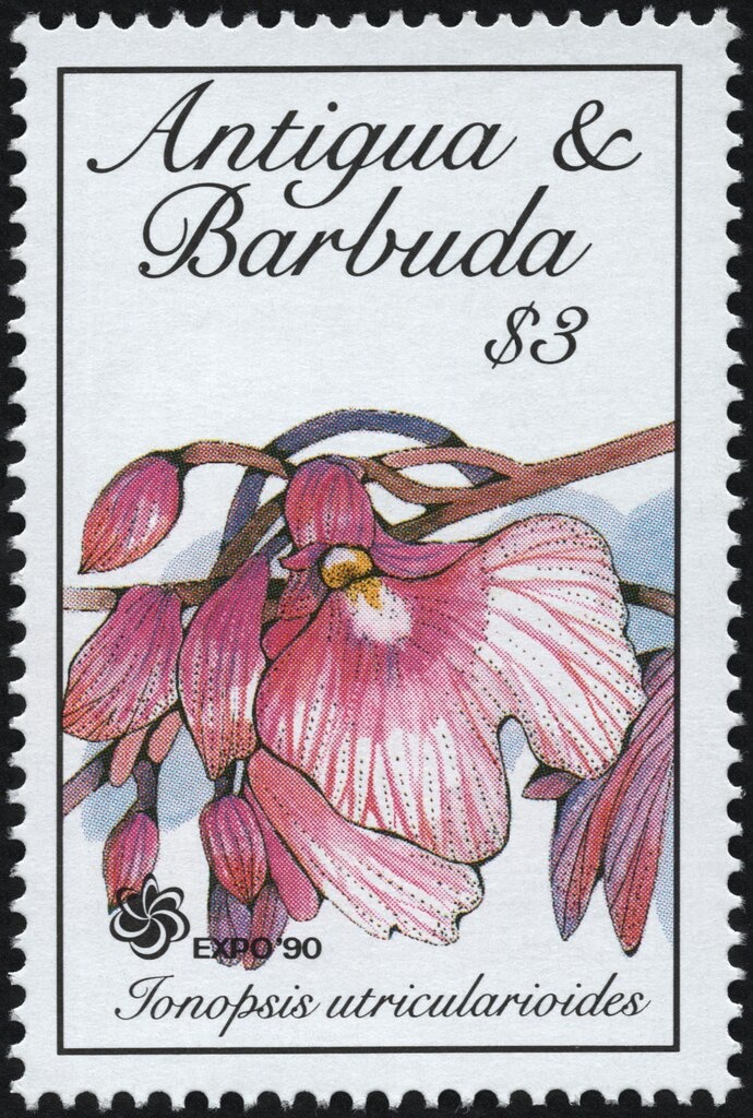 "The Peace of Angers" (Peter Paul Rubens)