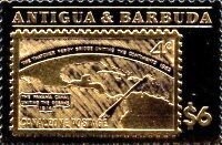 Hooded Merganser (Mergus cucullatus)