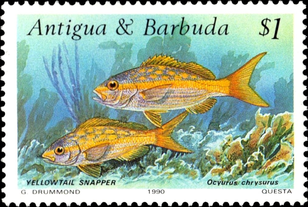 The Queen Enthroned - Overprinted