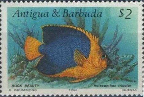 Police Communications