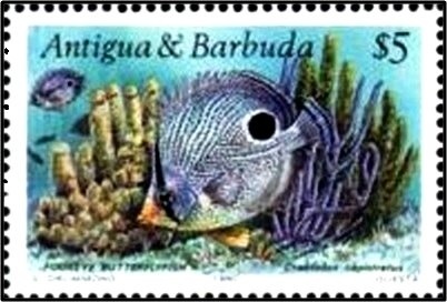 "The Alba Madonna" (Raphael)