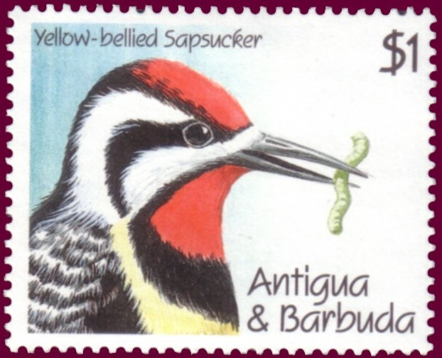 St. Thomas Air Transport Piper Aztec