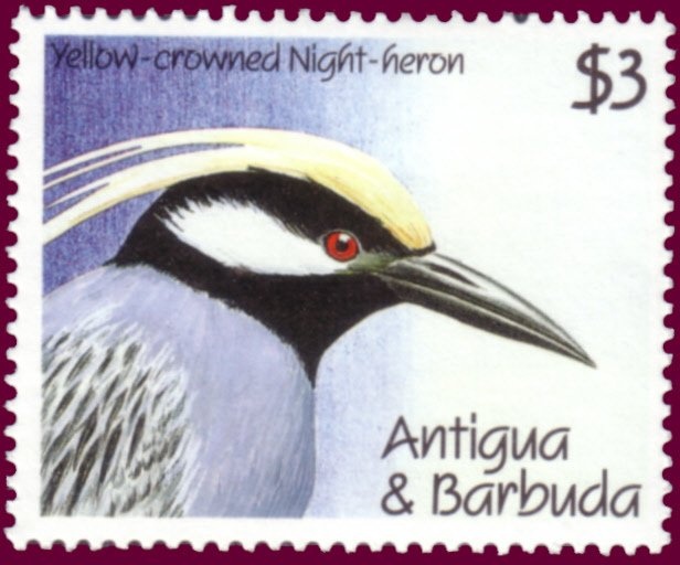 The First Decade Sheet