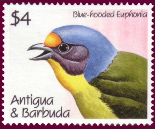 Locomotive "Iron Rooster", China