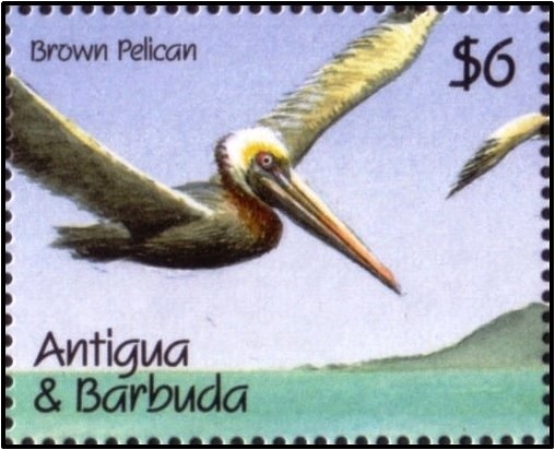 Scylax the Greek in the Indian Ocean, 518 AD