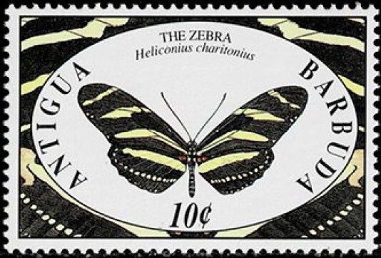 Kitten with Red String