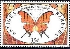 Goalkeeper Reaching for Ball