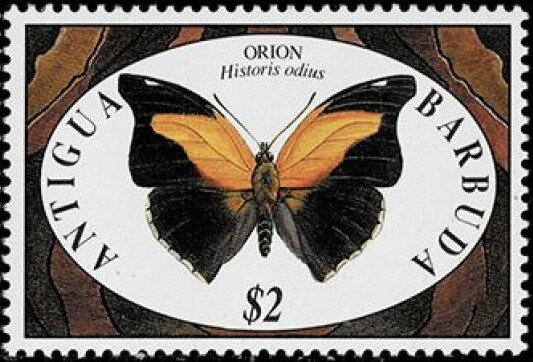 50th Anniversary of United Nations