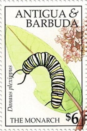 At Arc de Triomphe, Liberation of Paris, 1944