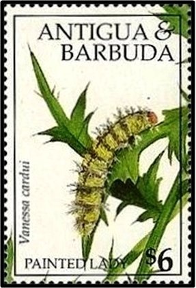 Private, 29th Foot, 1870