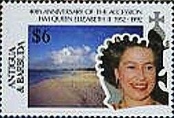 Common Morel (Morchella esculenta)