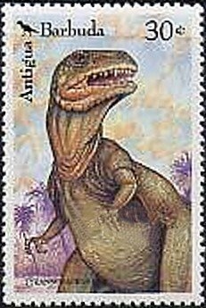 Caribbean Elaenia (Elaenia martinica)