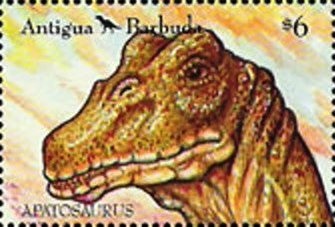 Measled Cowrie (Cypraea zebra)