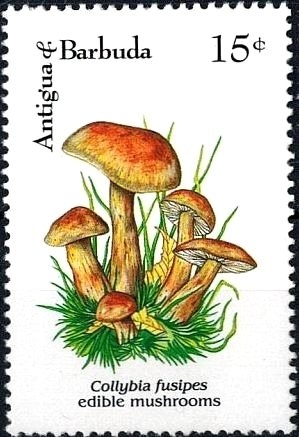 "Adoration of the Shepherds" (detail) (Catena)