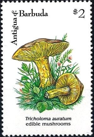 Sir Hugh Wooding (University Chancellor)