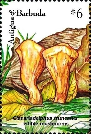 Princess Diana - Overprinted and Surcharged