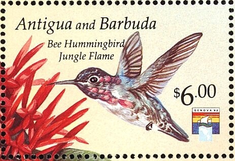 Franklin D. and Eleanor Roosevelt