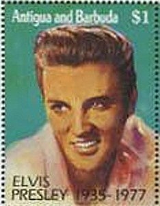 Flamboyant Tree (Delonix regia)