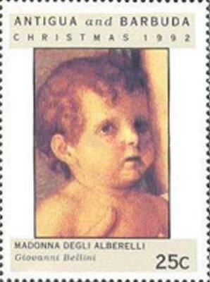 Slender Stalk (Volvariella volvacea)