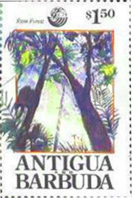 Kelly McCormick, USA (Gold - Women's Springboard, 1984)