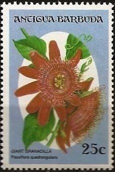 Hawker Siddeley H.S. 748