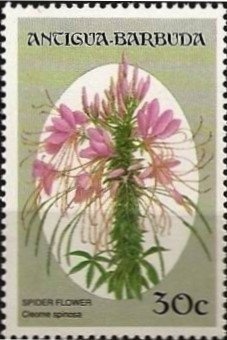 10th Anniversary of UN Rights of the Child Convention