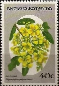 "Woman Writing a Letter" (Frans van Mieris de Oude)