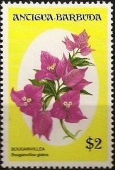 Virginia Gildersleeve