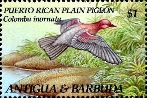 Dancers at the Barre